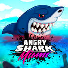 angry shark miami