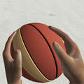 Simulador de baloncesto