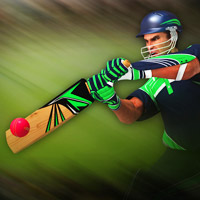 Doodle Cricket - Jogue Online em SilverGames 🕹️