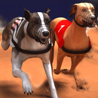 Crazy Dog Racing Fever Game, Running- Play Online Free Games 