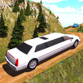 limousine simulator
