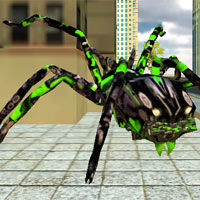 Robot Spider Transformation