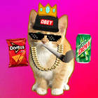 cat clicker mlg