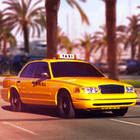 miami taxi driver