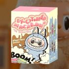 Open Labubu Box