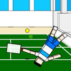 ragdoll tennis