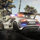 tropical police parking