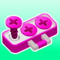 Screw Pin Jam Puzzle