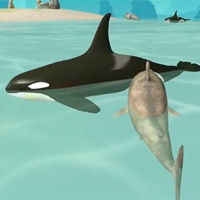 Simulateur de requins 