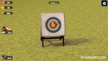 Meister Des Bogenschießens: Archery Winner