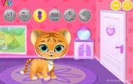 Baby Tiger Care: Baby Tiger Gameplay