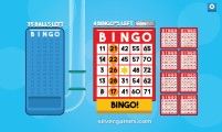 Bingo Bash: Number Card