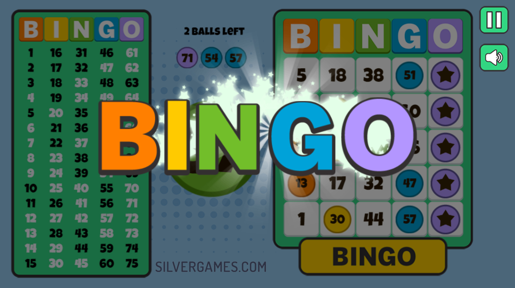 bingo solo