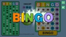 Bingo Solo: Bingo