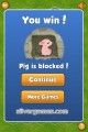 Block The Pig: Blocked Pig Success