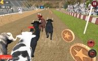 Състезания с бикове: Fast Race Cows