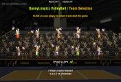 BunnyLimpics Volleyball: Bunnylimpics Teams