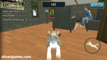 Cat Simulator: Kitty Craft: Exploring
