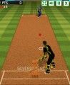 Cricket Batter: Gameplay