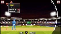 Cricket World Cup: Playing Cricket Arena