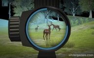 Deer Hunter: Hunting Deer Gameplay