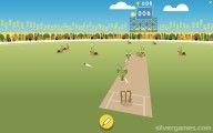 Doodle Cricket: Cricket Turtles Snailes
