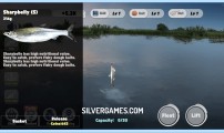 Fishing Baron: Fish