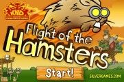 Flight Of The Hamsters: Menu