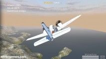 Flight Simulator Online: Gameplay