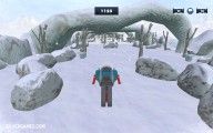 Glacier Race: Gameplay