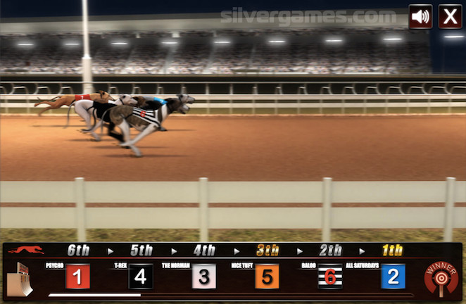 Dog Racing - Play Online on SilverGames 🕹️