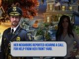 Hidden Crime Investigation: Gameplay Inspector