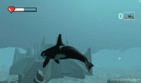 Killer Whale Simulator: Gameplay Shark