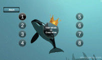 Killer Whale Simulator: Killing Match