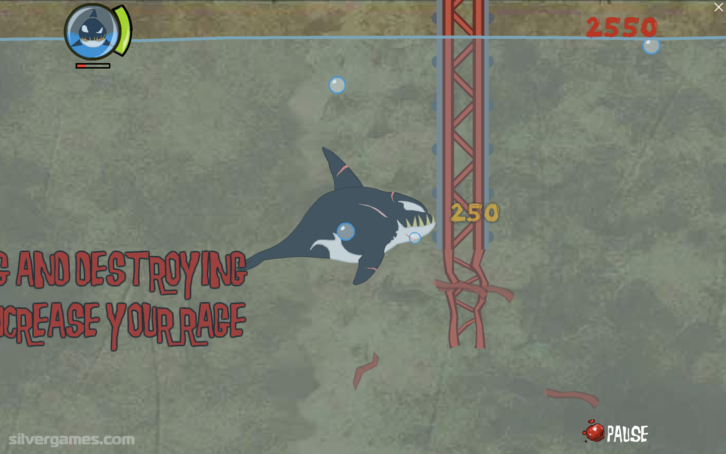 MIAMI SHARK GAME Flash Game Video 