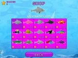 My Dolphin Show: Online Game