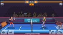 Power Badminton: Match