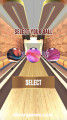 Pro Bowling 3D: Ball Selection