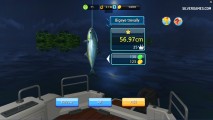 Russian Fishing At Sea: Fish Species