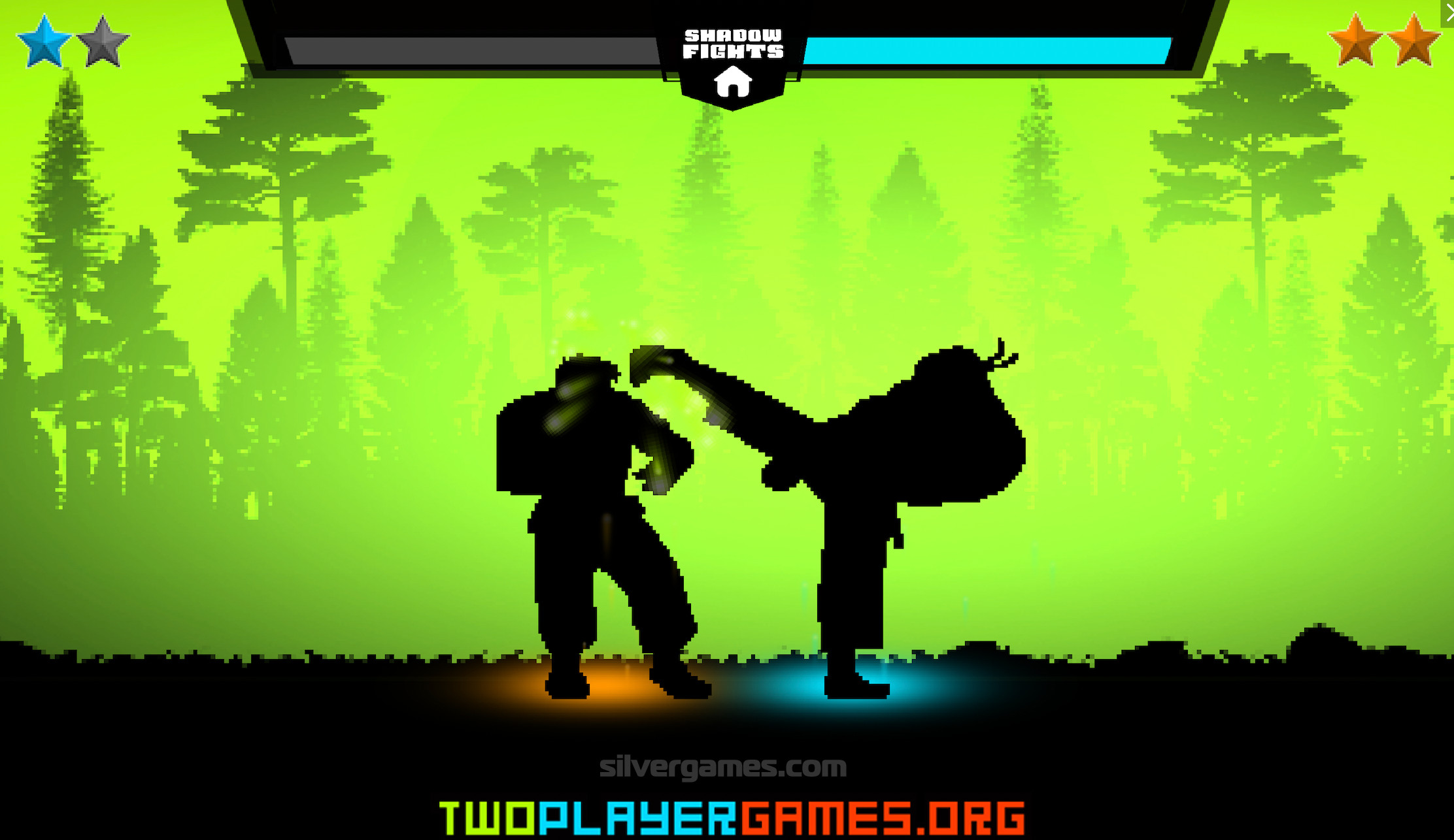 Boxing Fighter Shadow Battle Game