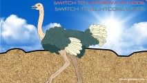 محاكاة النعامة الفائقة: Ostrich Gameplay
