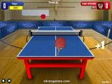 Table Tennis: Indoor