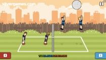 Volley Physics: Volleyball Gameplay